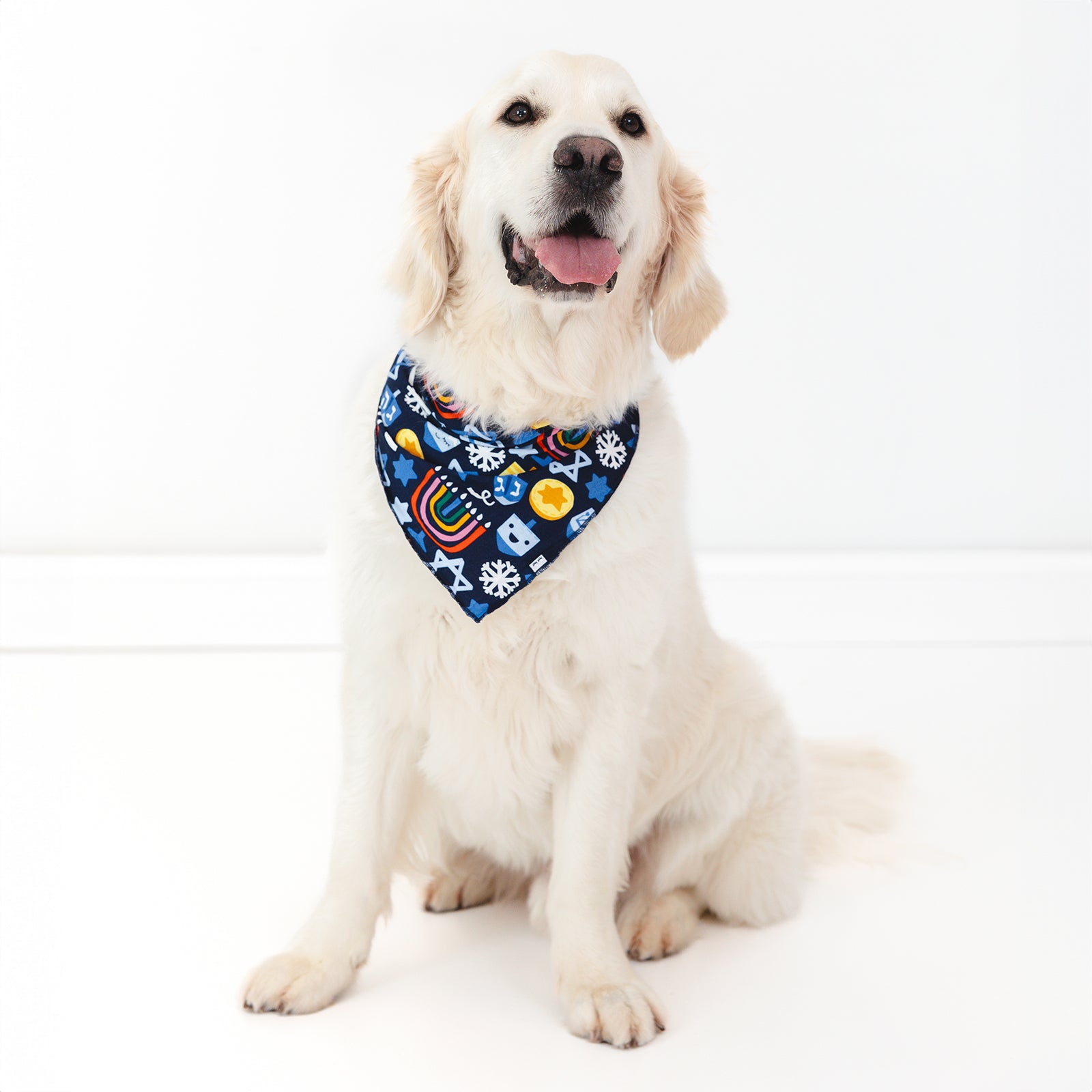 Image of a dog wearing a Playful Dreidels Pet Bandana