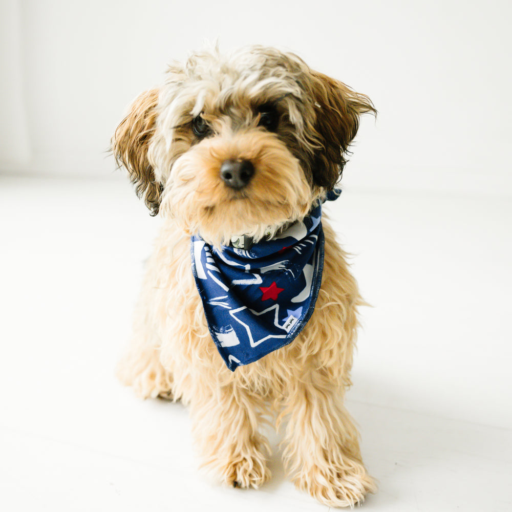 Close up image of a dog wearing a Star Spangled pet bandana 