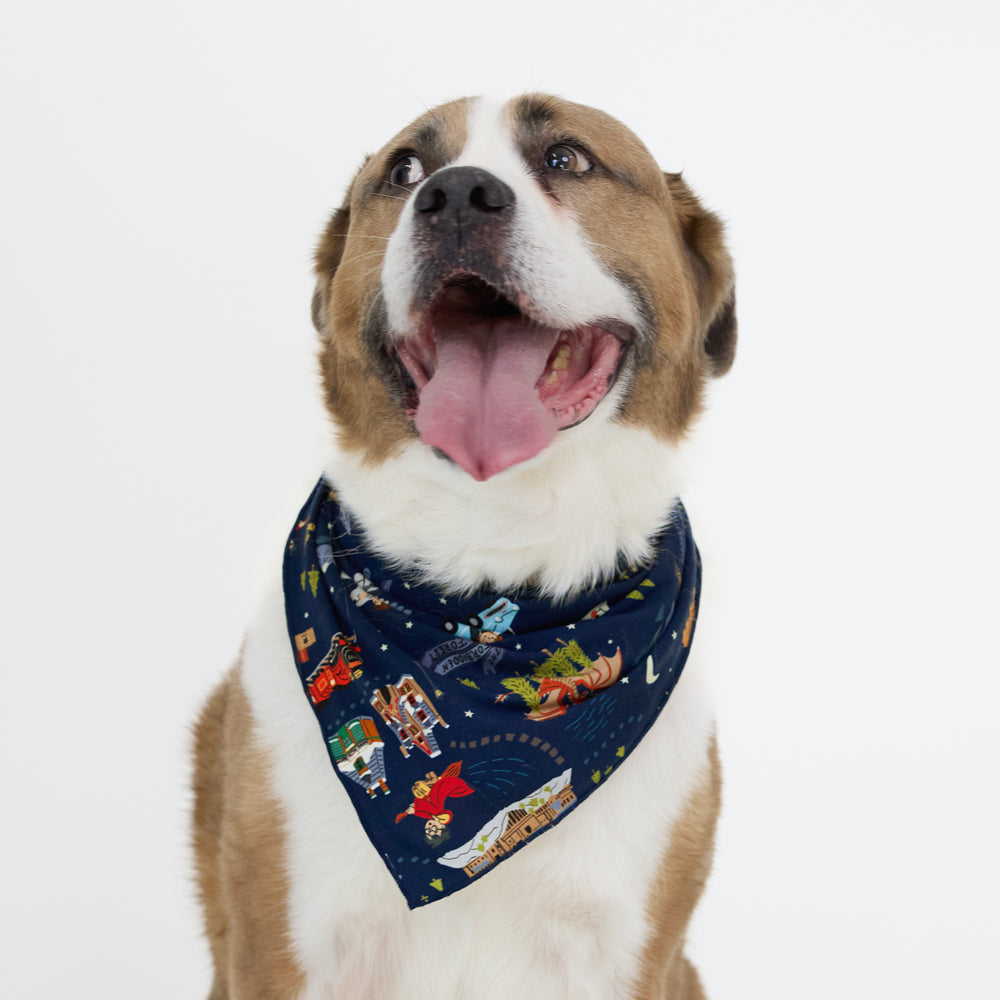 close up image of a dog wearing an Evening at Hogwarts pet bandana 