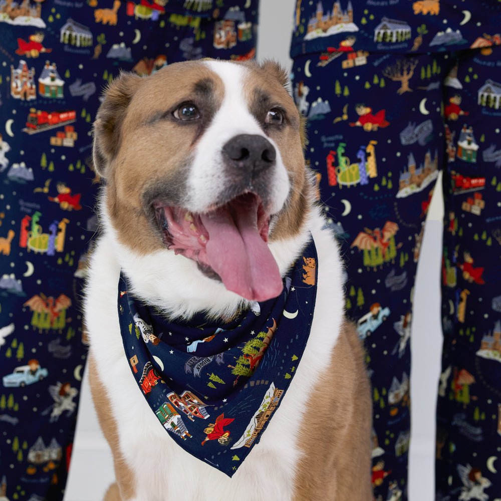 image of a dog wearing an Evening at Hogwarts pet bandana 