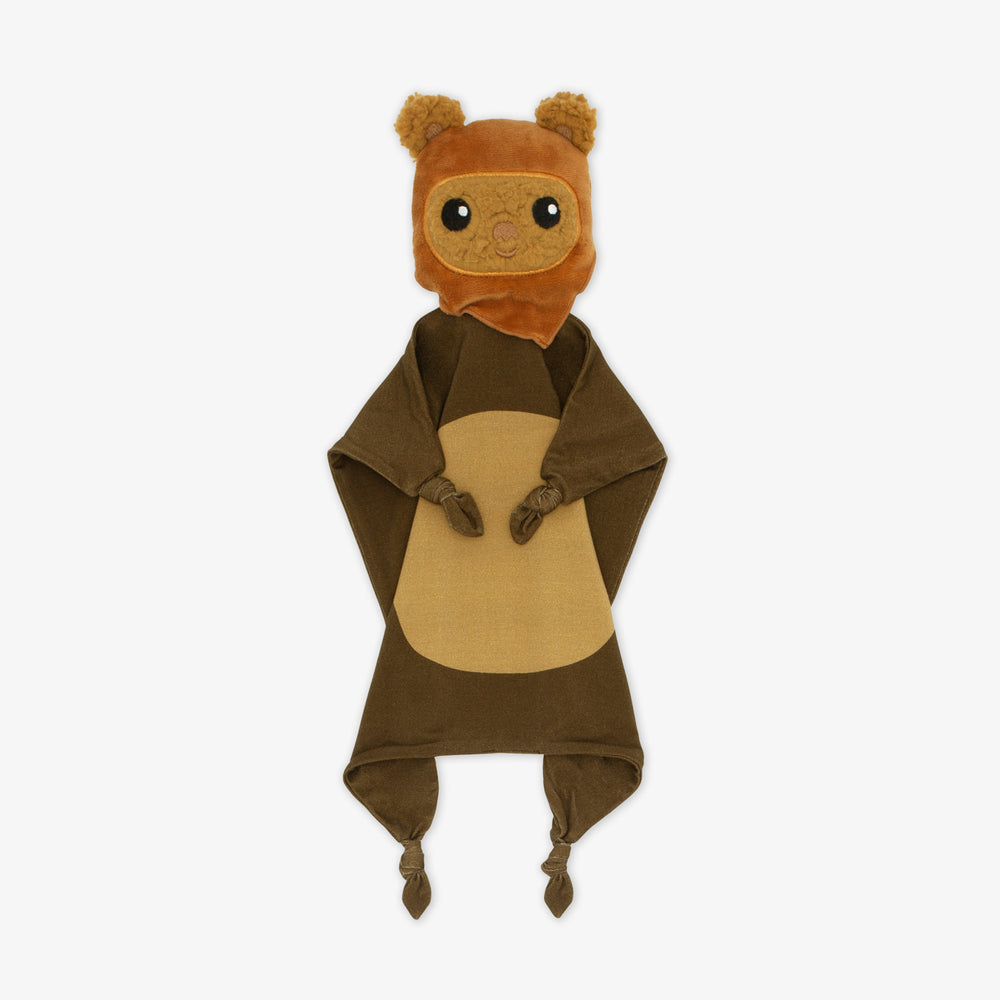 Flat lay image of an Ewok lovey