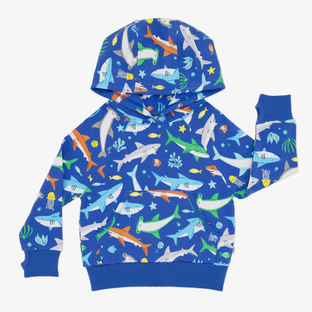 Flat lay image of the Rad Reef Pullover Hoodie