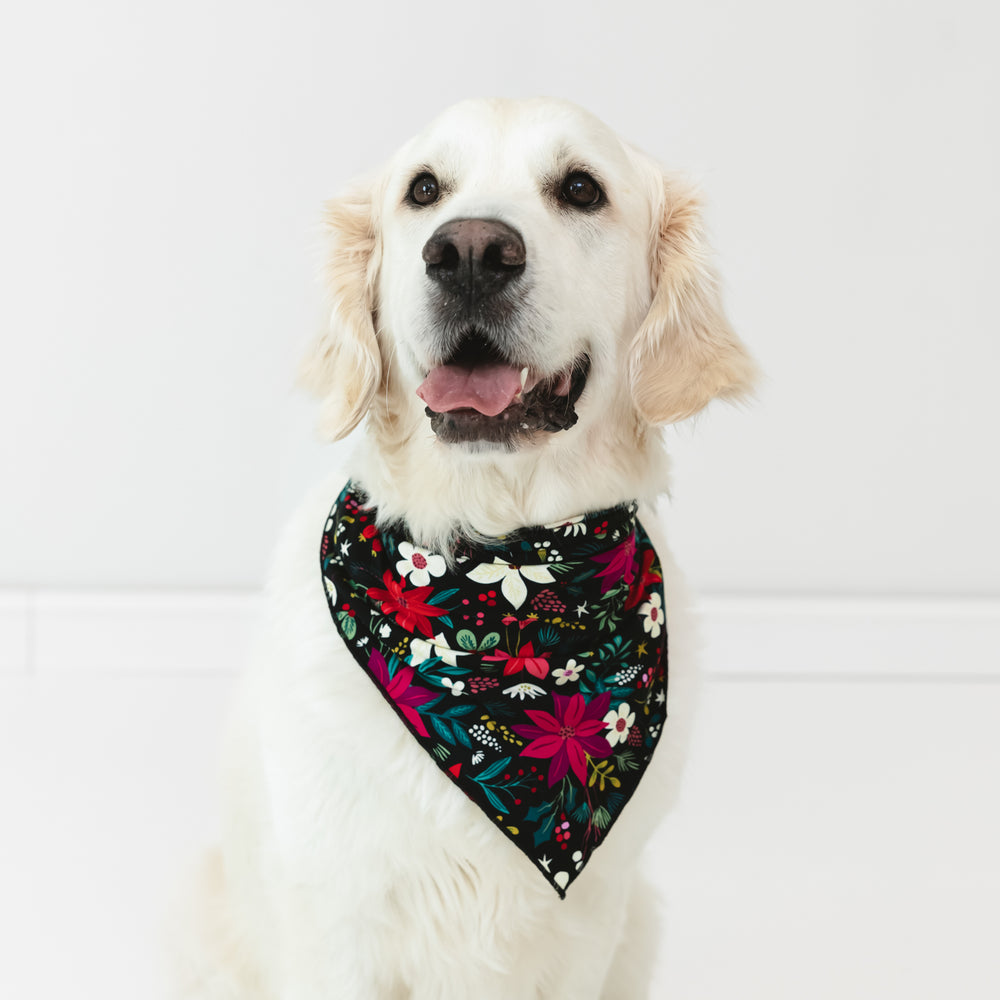 White dog wearing the Berry Merry Pet Bandana