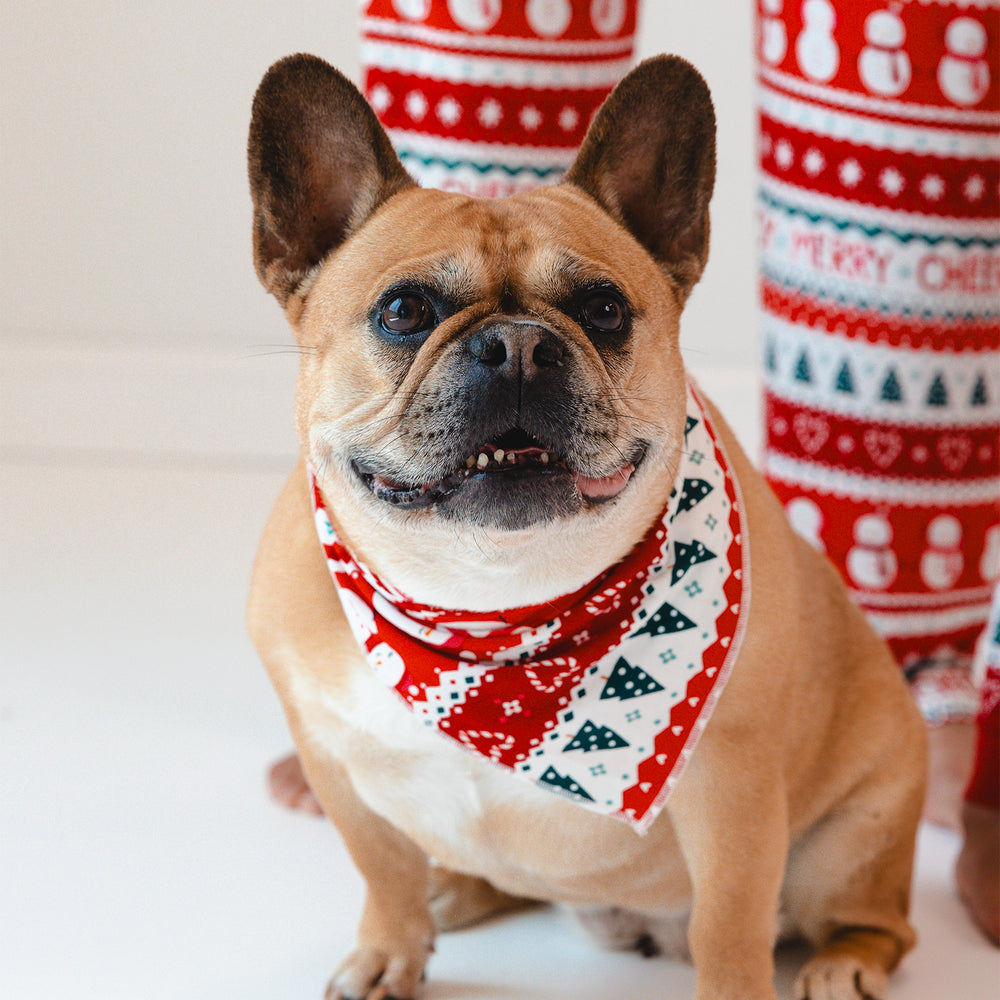 Image of a dog wearing a Festive Fair Isle Pet Bandana