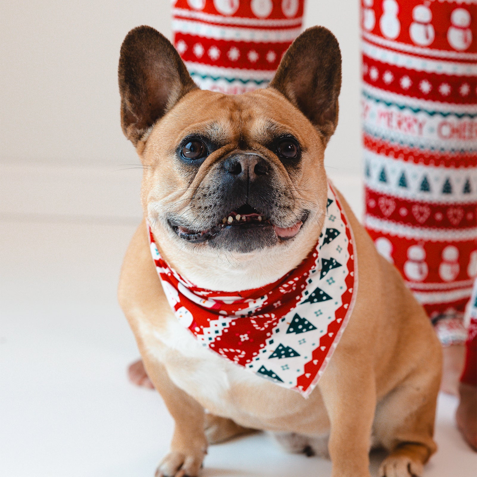 Image of a dog wearing a Festive Fair Isle Pet Bandana