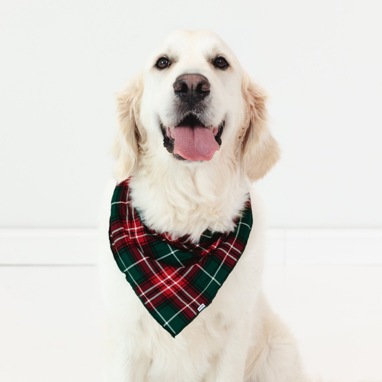 Dog wearing a Fireside Plaid Pet Bandana