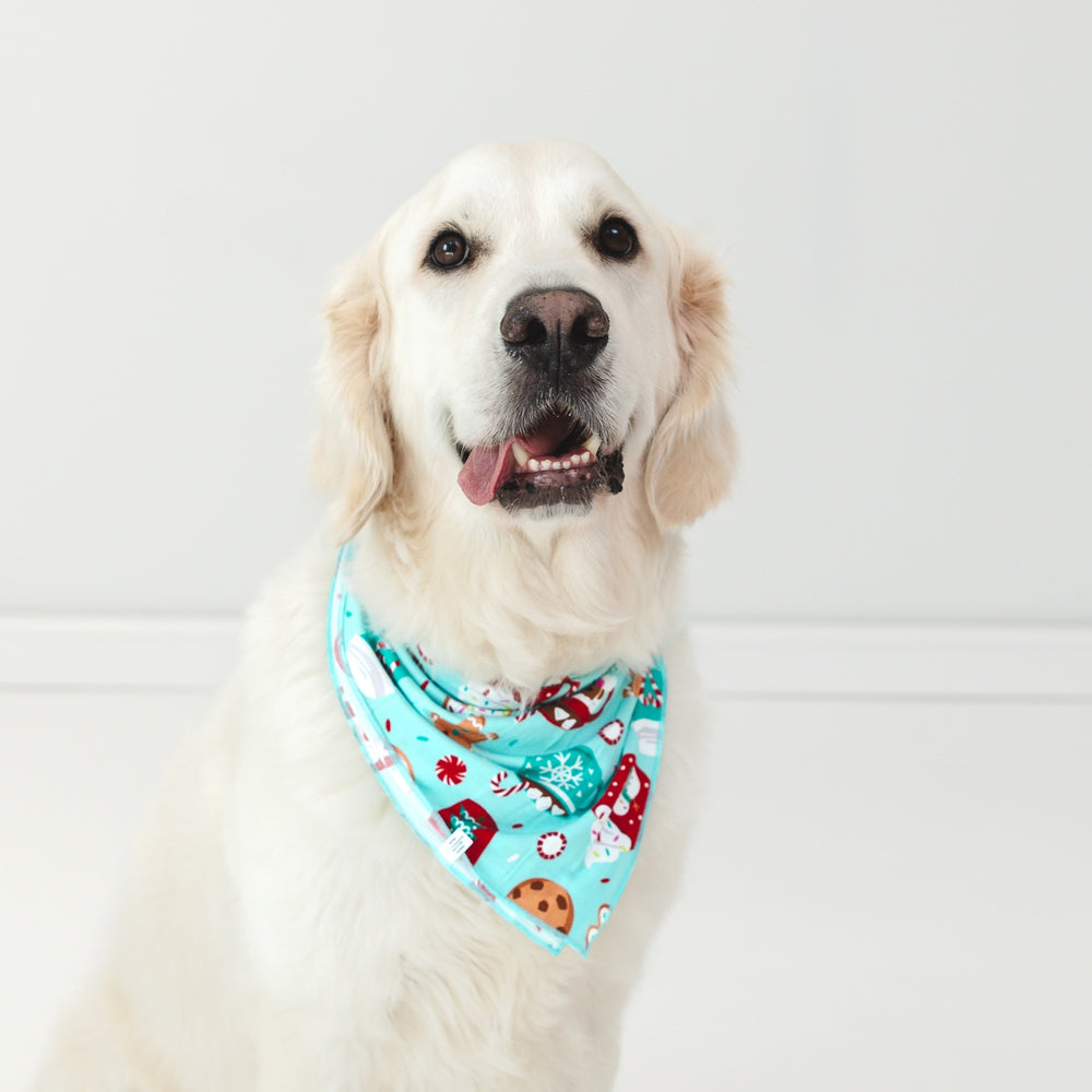 Image of a dog wearing a Peppermint Mocha Pet Bandana