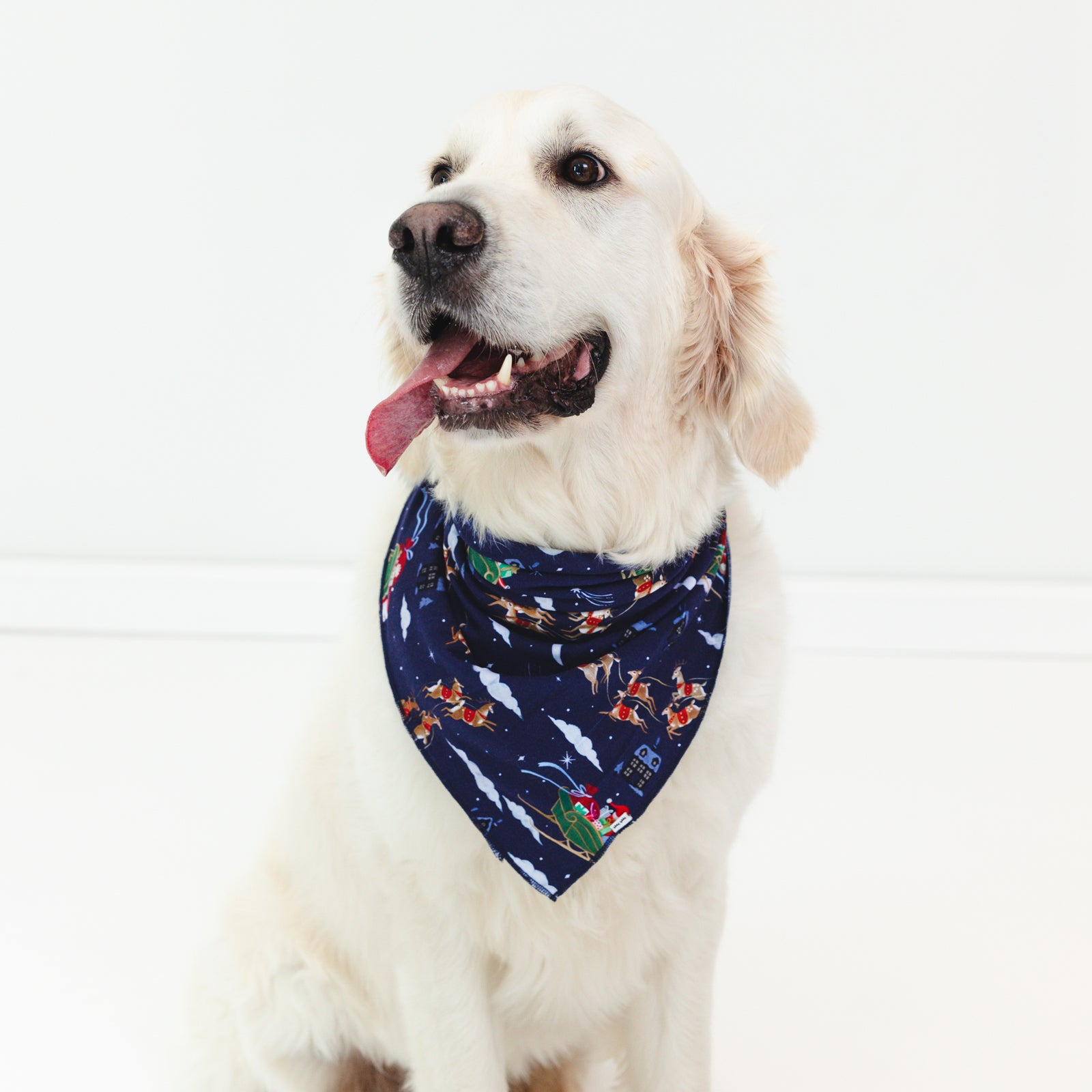 Image of a dog wearing a Santa's Sleigh Pet Bandana