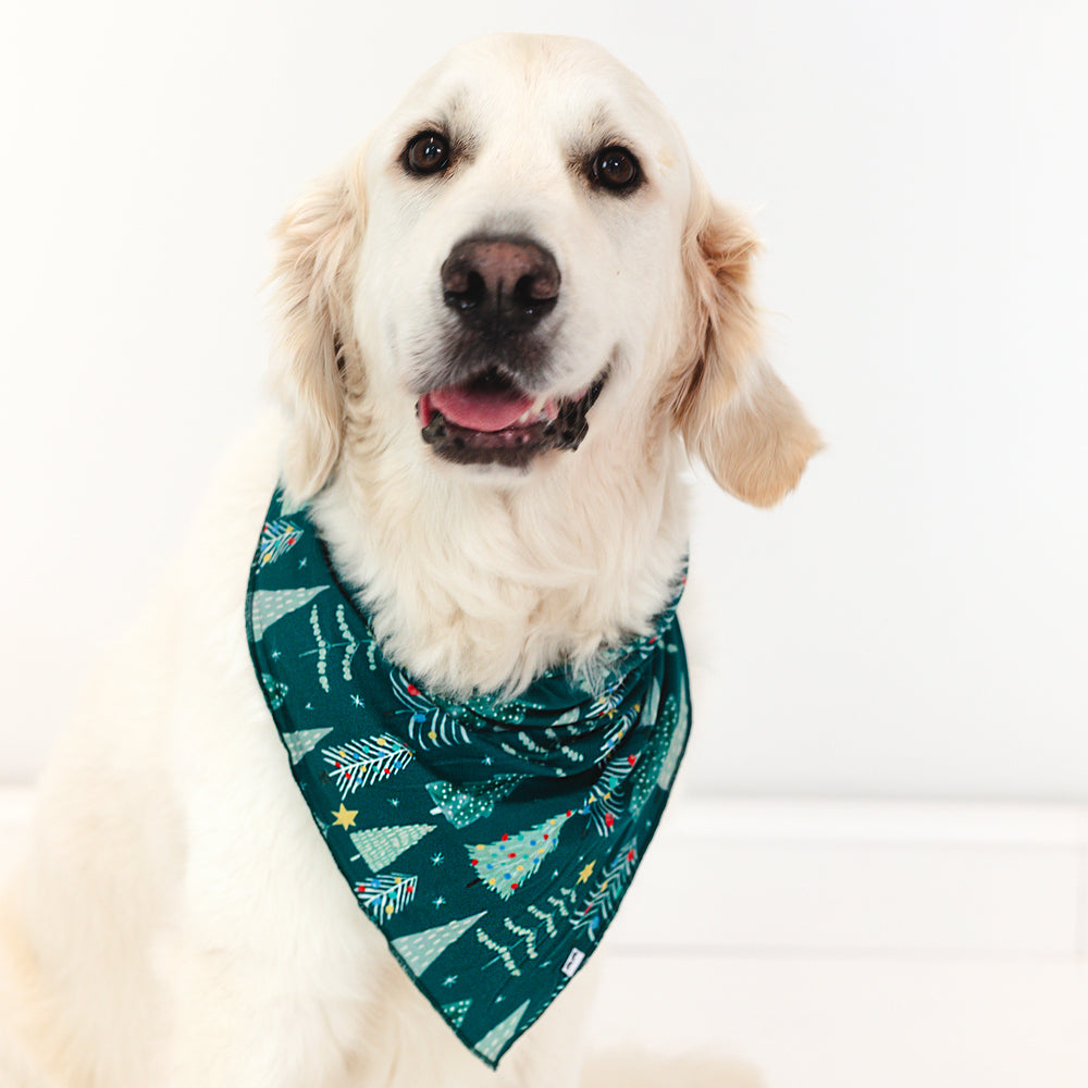 Dog wearing Twinkling Trees pet bandana