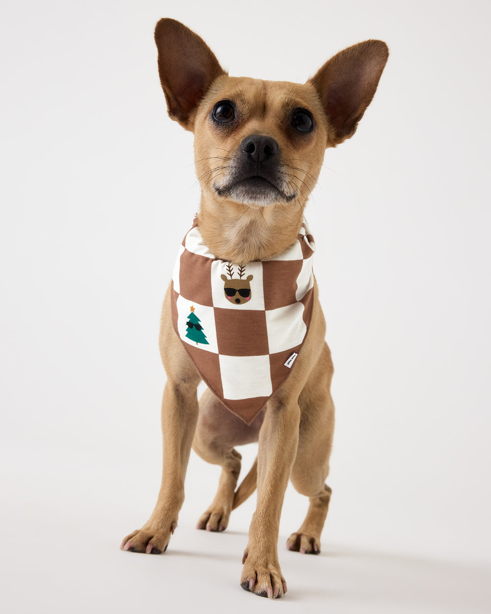 A small tan dog wearing a brown and cream checkered bandana with small Holiday graphics, photographed against a plain light gray studio background.