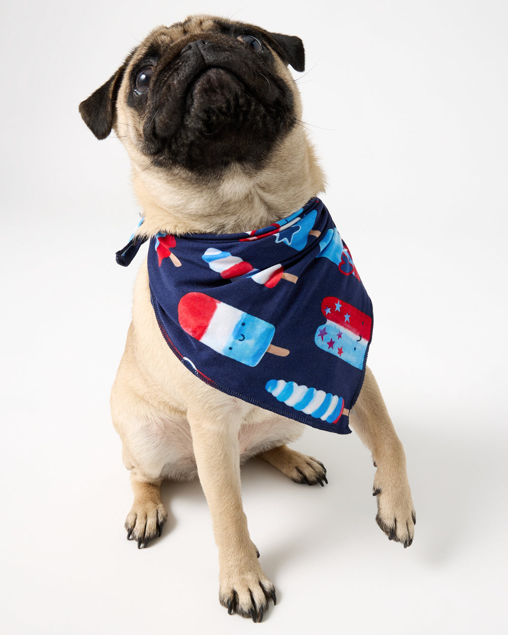 Pug wearing the Sparkle Treats Pet Bandana