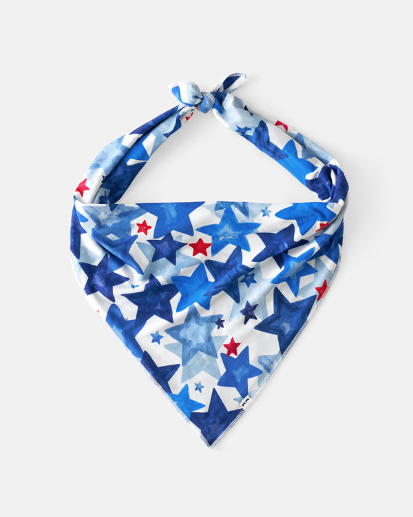 Flat lay of the Starry Splash Pet Bandana