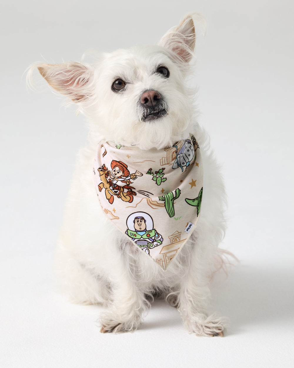 Small dog wearing the Disney & Pixar Woody's Wild West Pet Bandana
