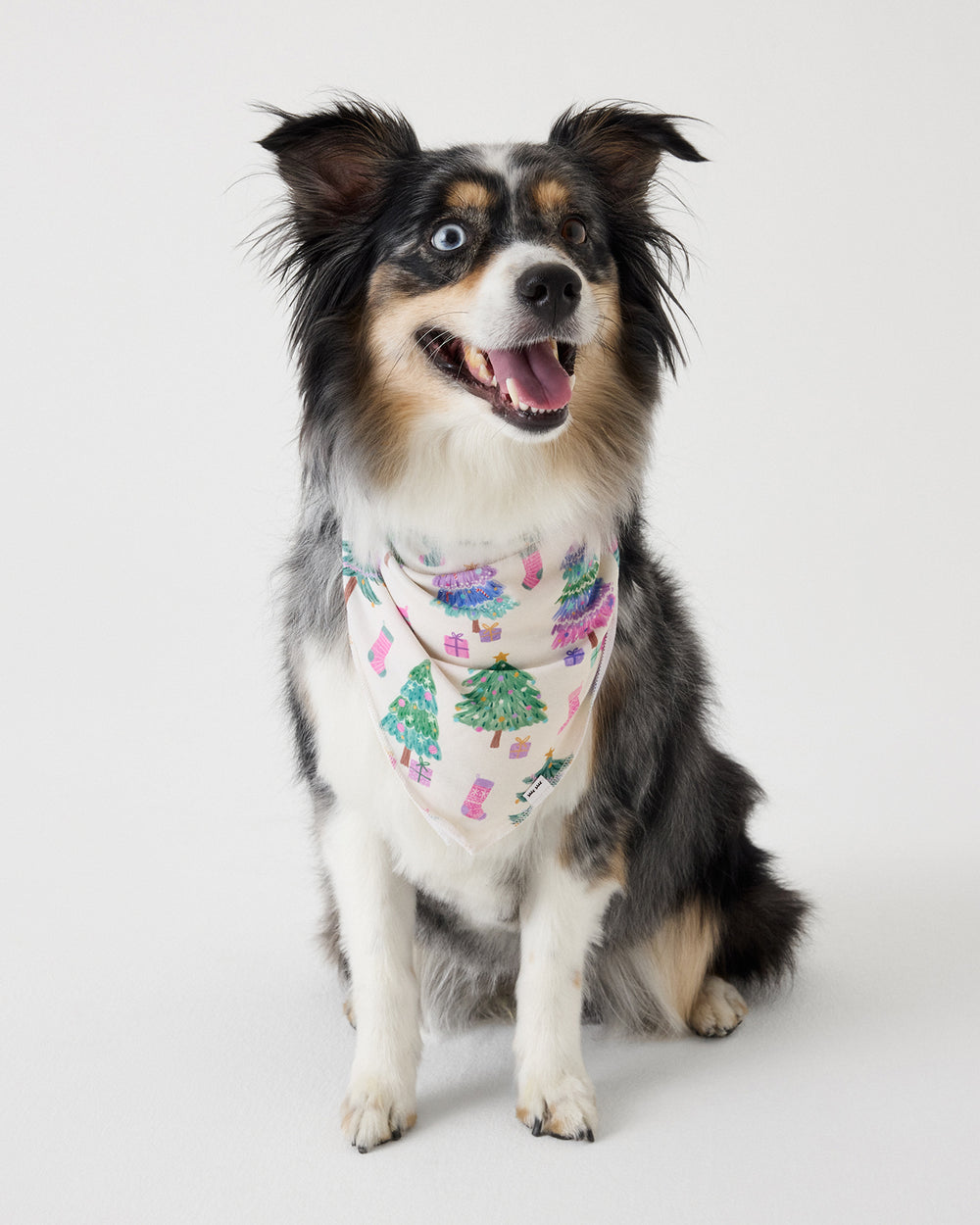 A black, white, and tan dog wearing a festive pink bandana with Christmas tree and stocking patterns, sitting against a solid light gray background.