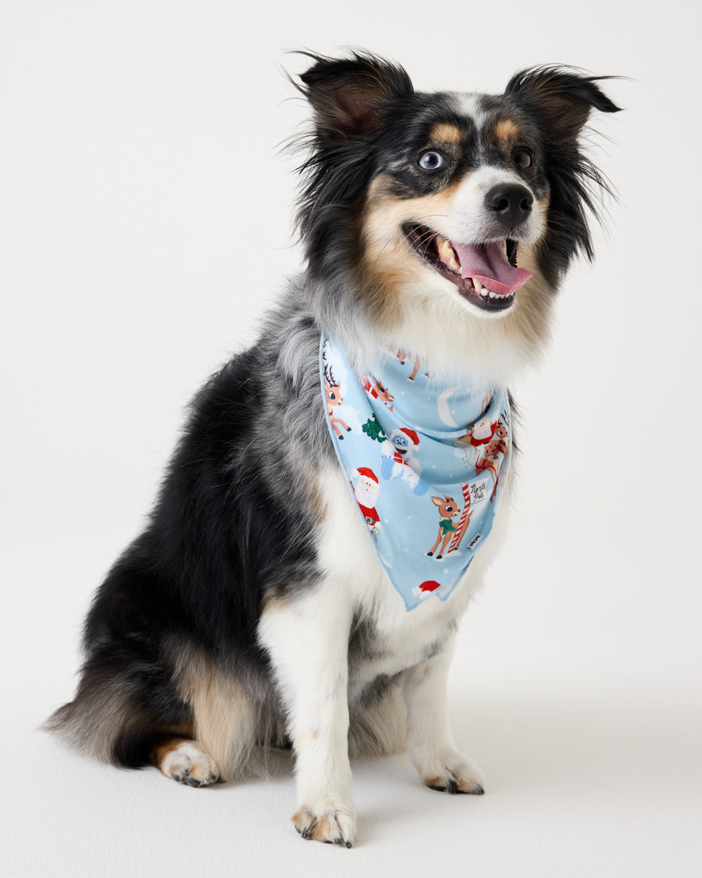 Dog wearing the Rudolph's Snowy Adventure Pet Bandana