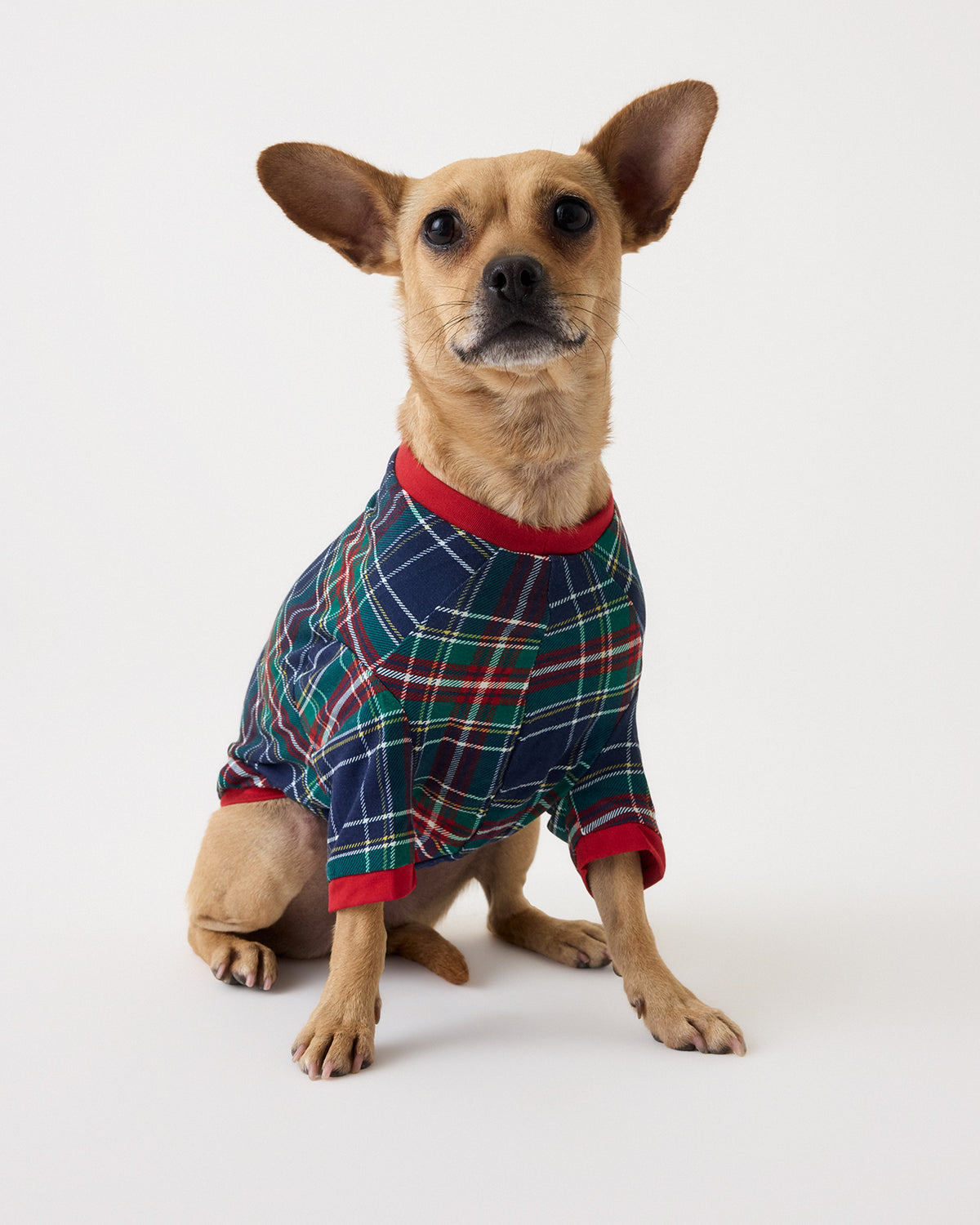 A small tan dog wearing a short-sleeve plaid dog pajama shirt with red trim, sitting against a plain white studio background.