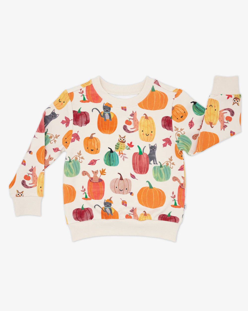 Flat lay of the Pumpkin Pals Crewneck Sweatshirt