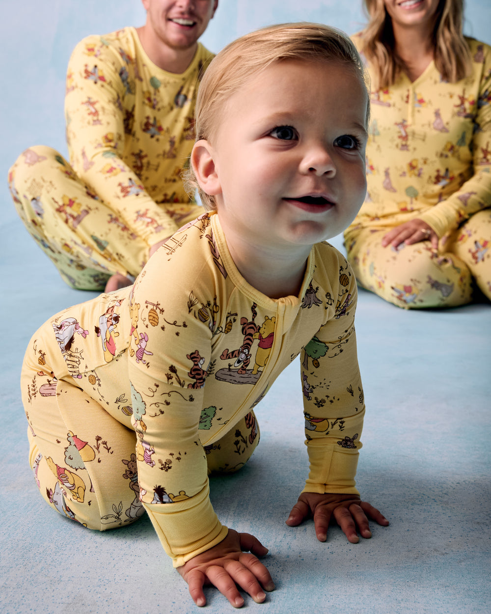 Disney Playtime With Pooh Zippy