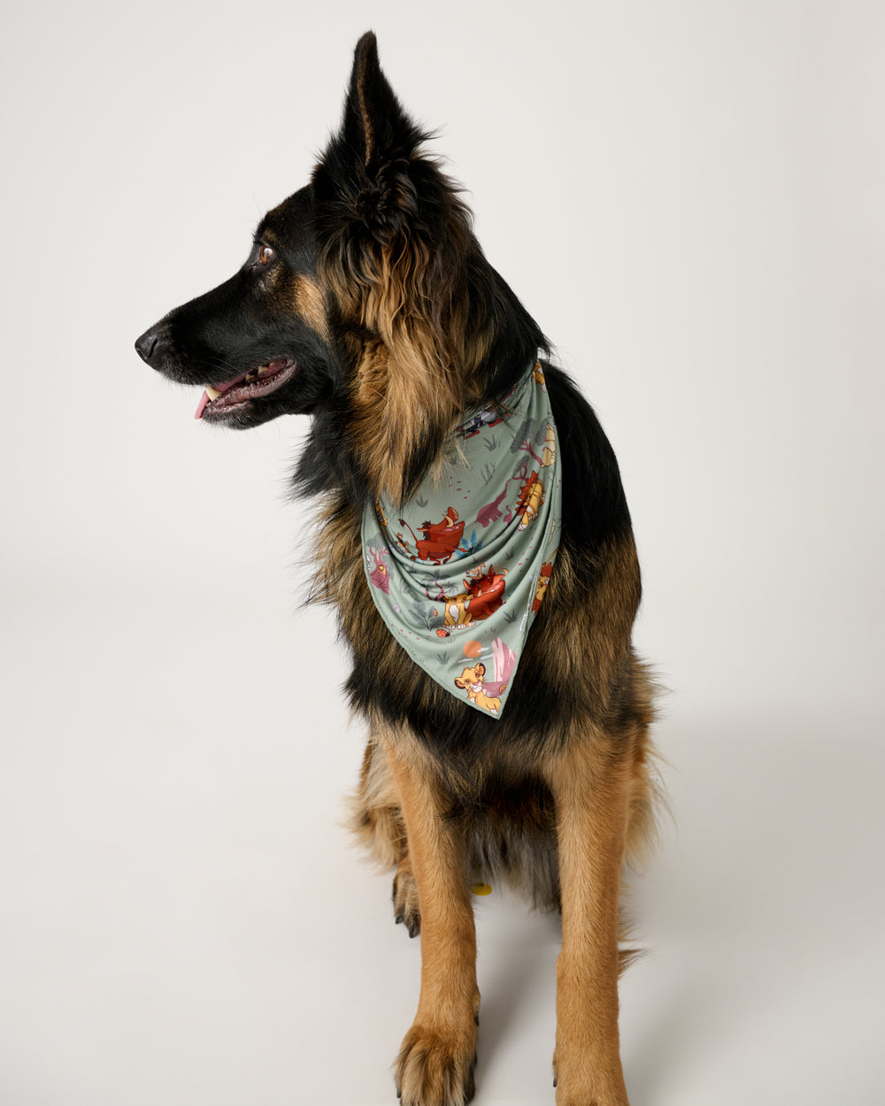 Dog wearing the Simba's Safari Pet Bandana