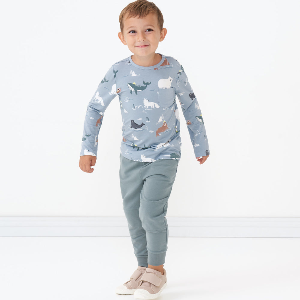 Child wearing an Arctic Animals printed pocket tee and coordinating Vintage Teal joggers