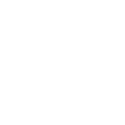 White sun and snowflake icon