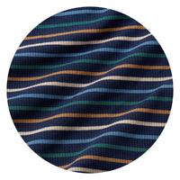 Classic Navy Stripe swatch