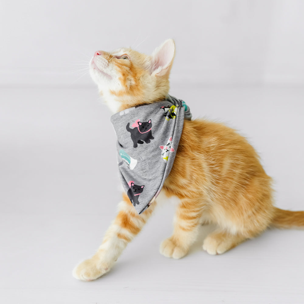 Cat wearing a Cozy Cats pet bandana
