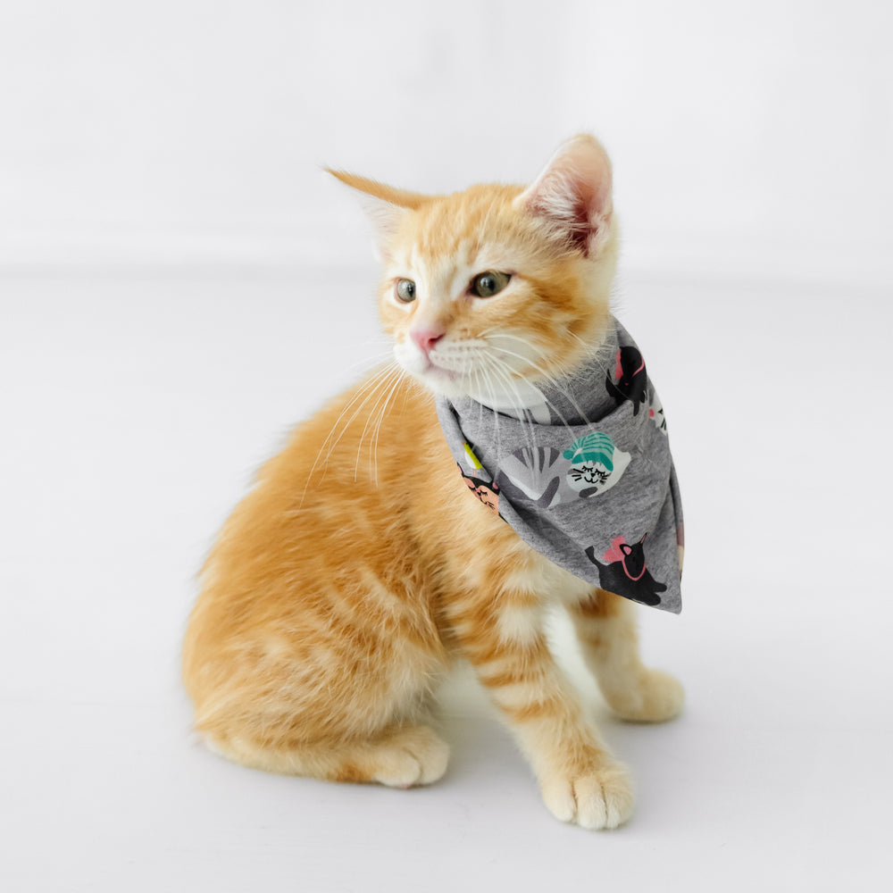Alternate image of a cat wearing a Cozy Cats pet bandana