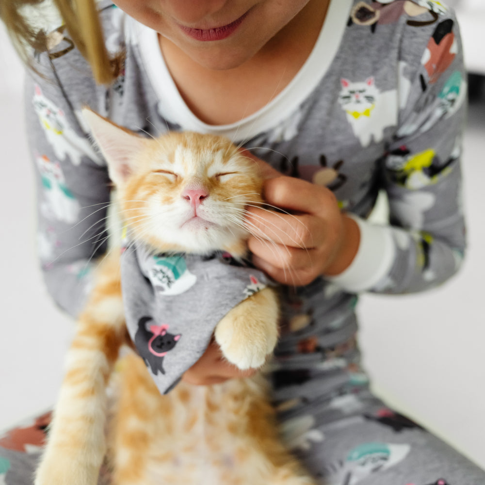 Cat in a child's lap wearing a Cozy Cats pet bandana