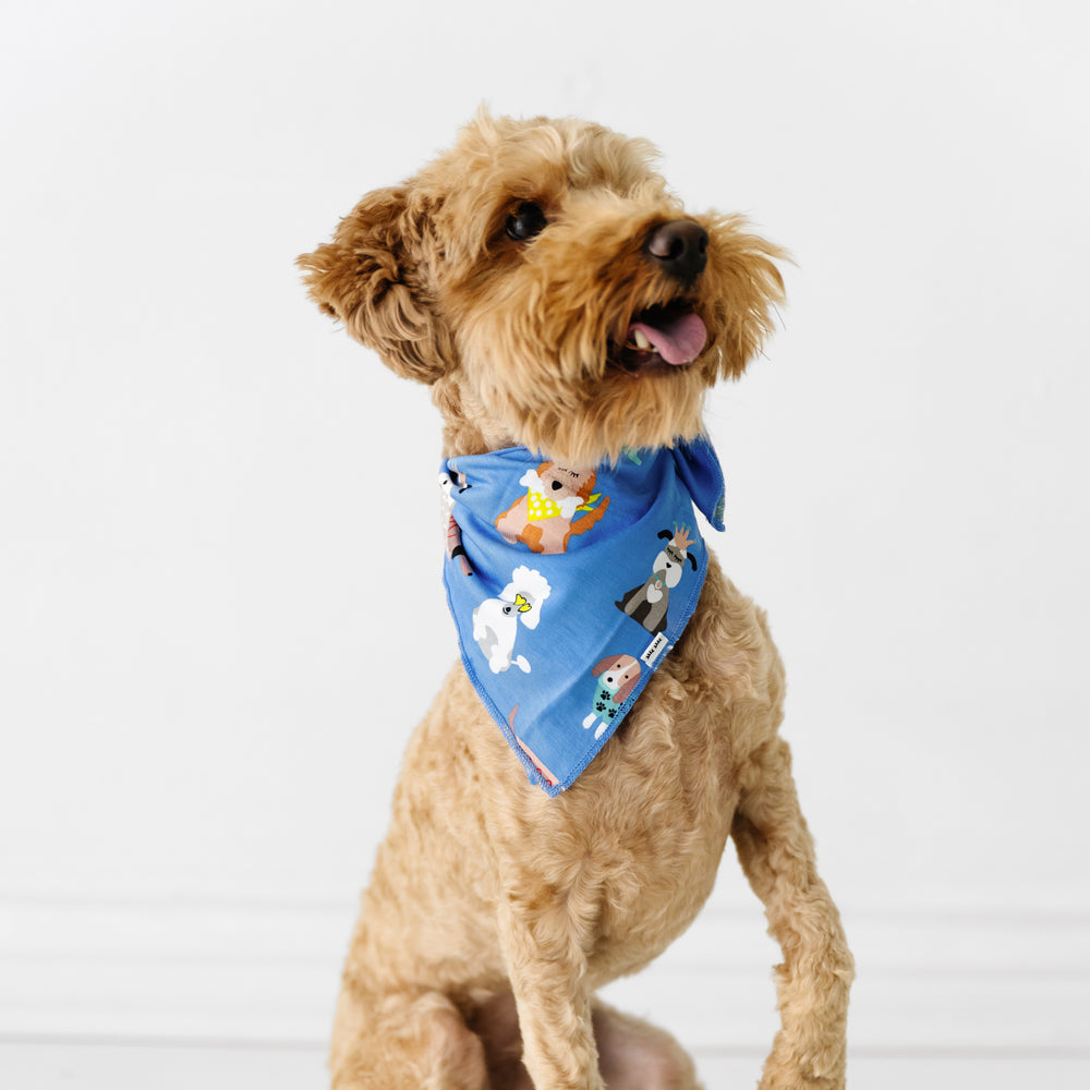 Dog wearing a Dapper Dogs pet bandana