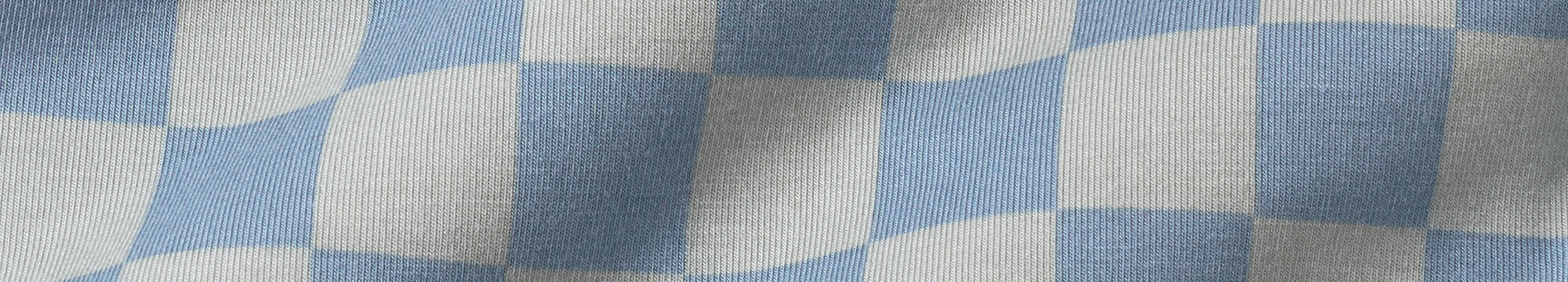 Dusk Blue Checks fabric swatch
