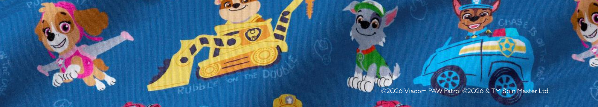 Close up of the PAW Patrol Print 