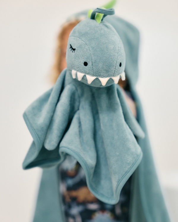 A boy holding a dusty blue dinosaur washcloth with a dino face and white teeth, photographed against a soft light background.