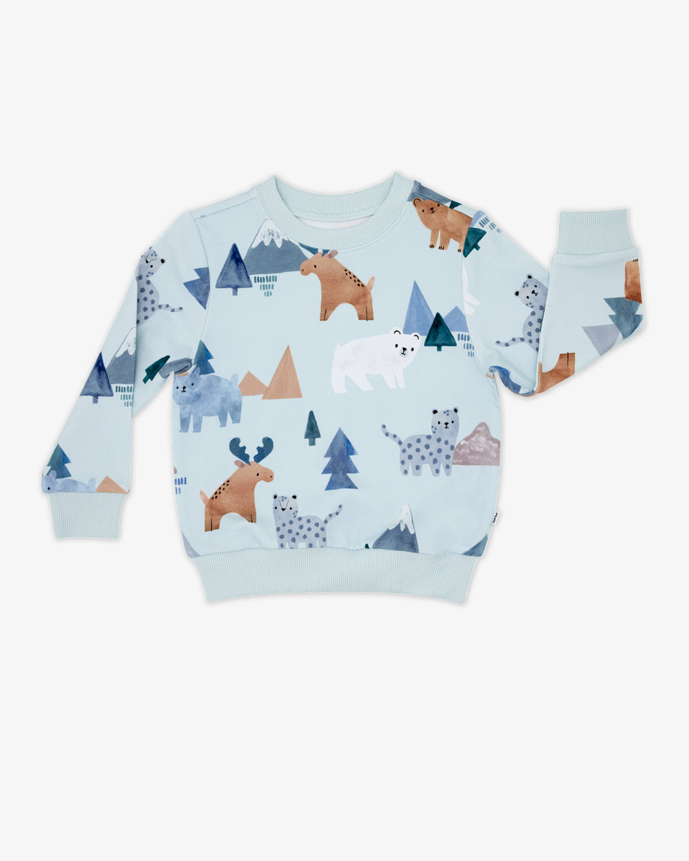 Flat lay of the Alpine Explorers Crewneck Sweatshirt