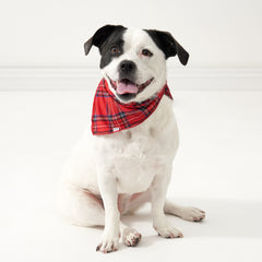 Dog sitting on the ground wearing a Holiday Plaid pet bandana