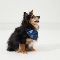 Profile image of a small dog posing wearing a Blue Merry and Bright pet bandana