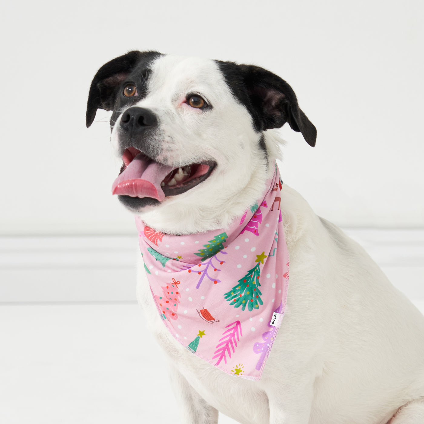 Big dog posing wearing a Pink Merry and Bright pet bandana