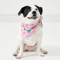 Alternate image of a big dog posing wearing a Pink Merry and Bright pet bandana