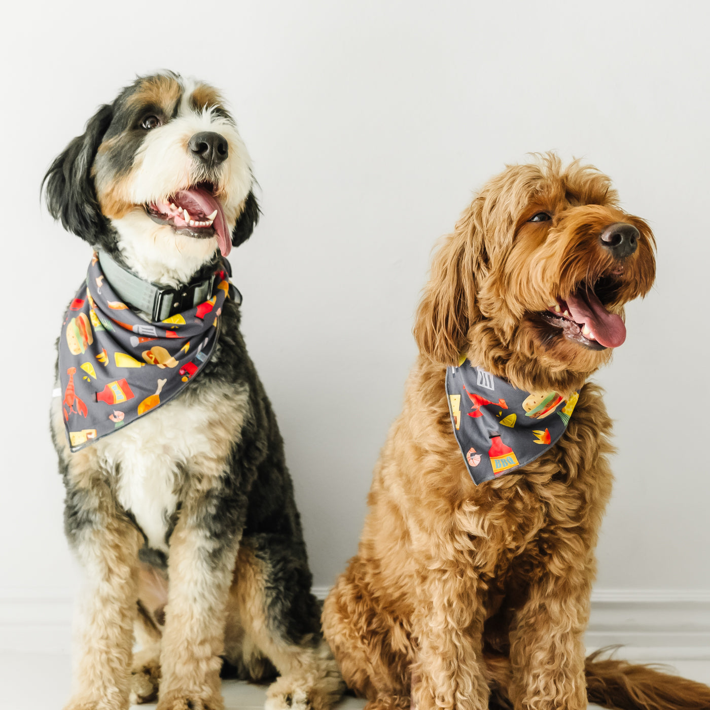 Chill out clearance bandana for dogs