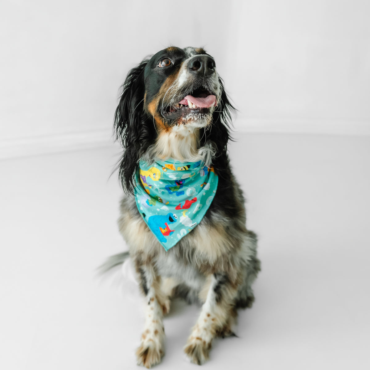 Spelling with Sesame Street Pet Bandana Little Sleepies