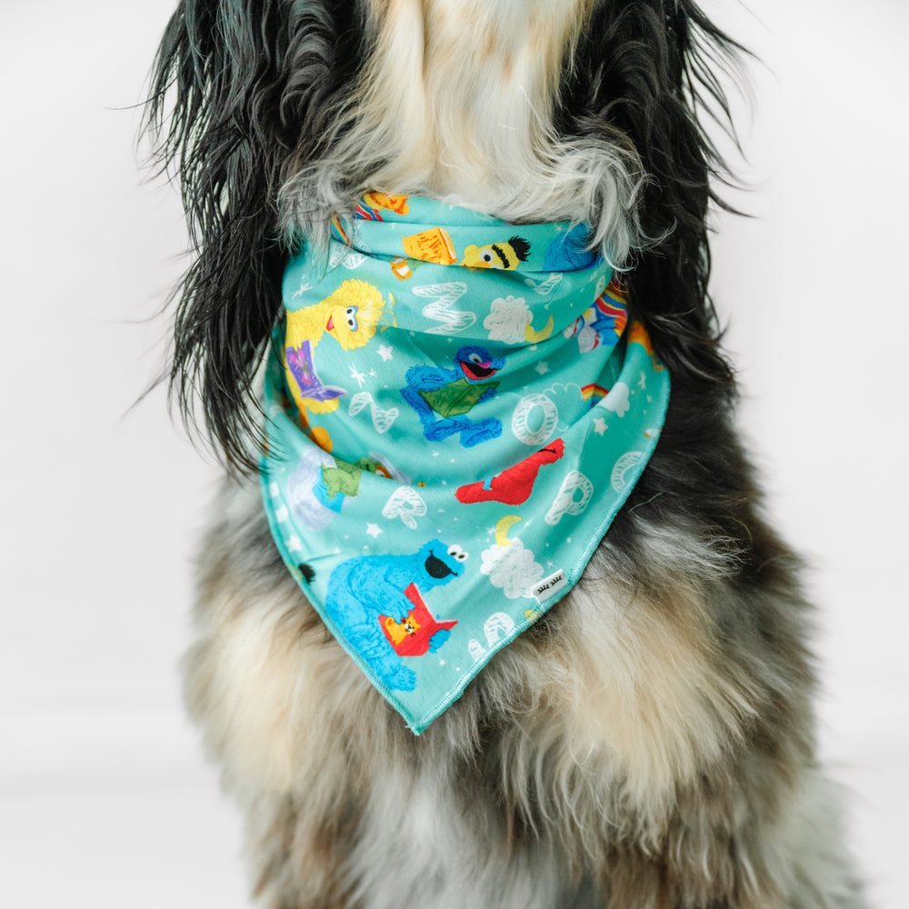 Close up image of a dog wearing a Spelling with Sesame Street pet bandana