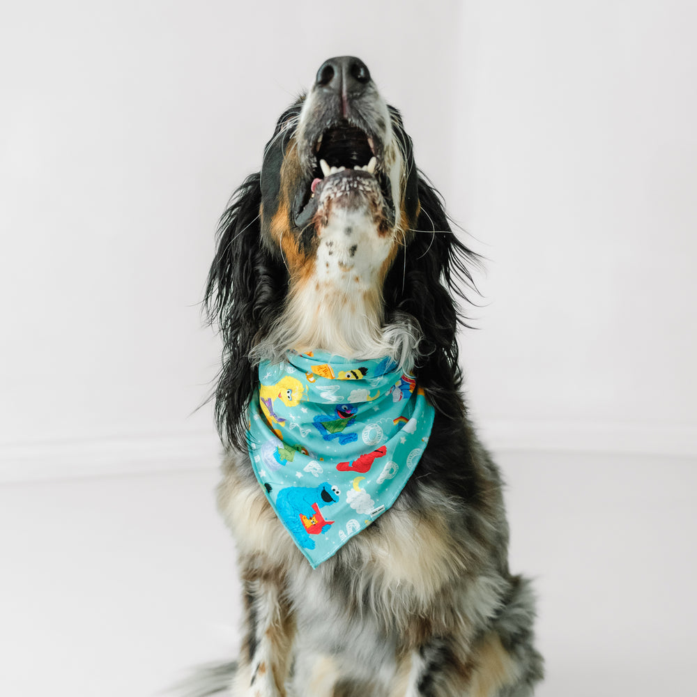 Alternate image of a dog wearing a Spelling with Sesame Street pet bandana