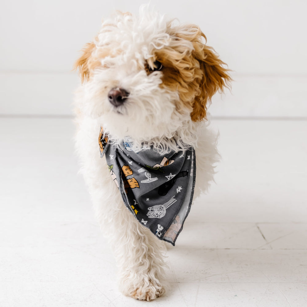 Dog in Star Wars™ May the Force Be With You Bamboo Viscose Pet Bandana
