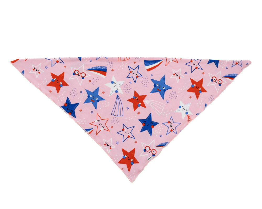 Flat lay image of a folded over Pink Stars and Stripes pet bandana