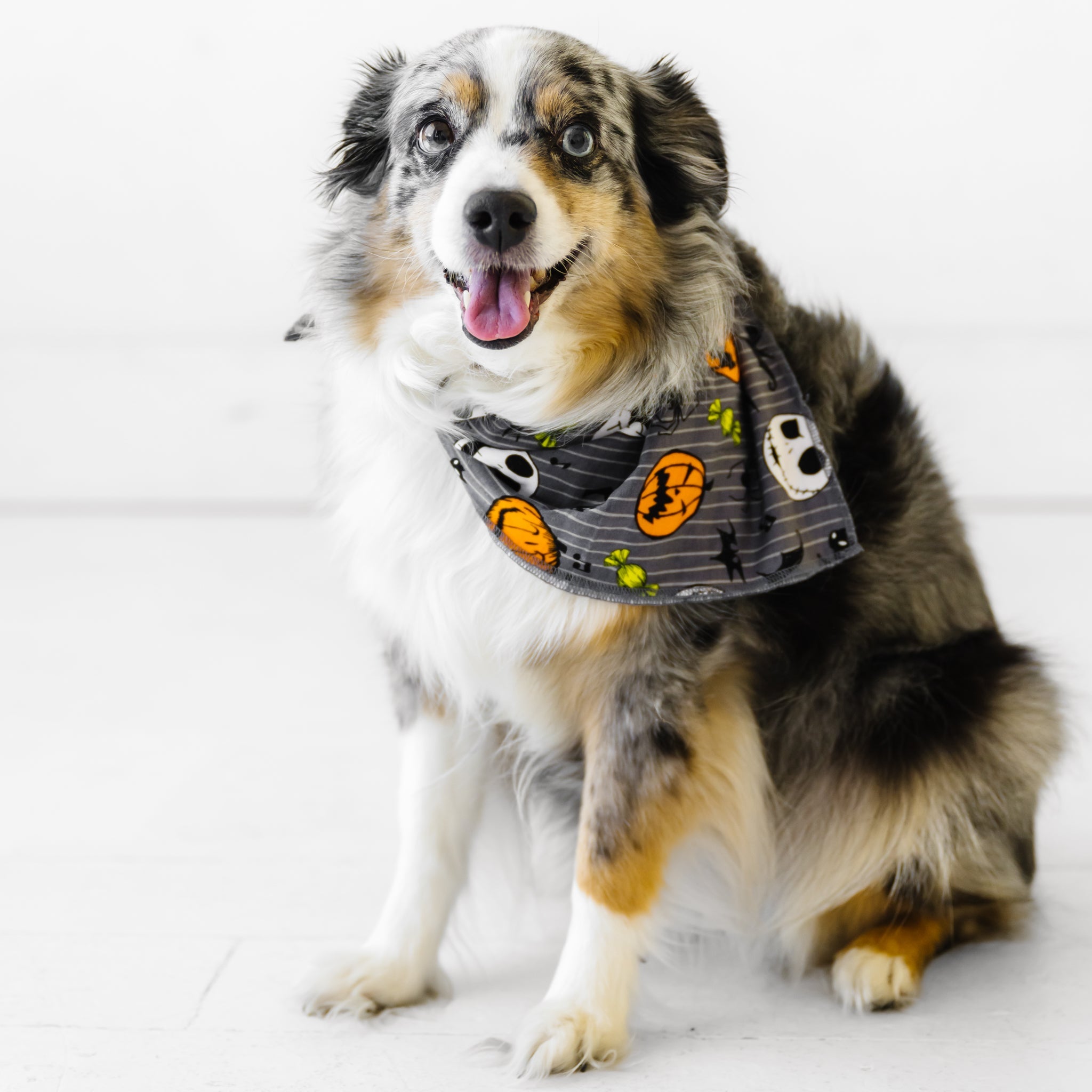 Nightmare before christmas dog sales bandana